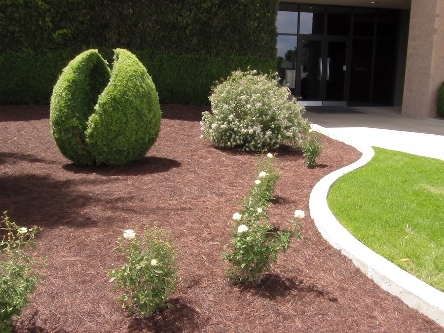 Plantings & Garden Beds