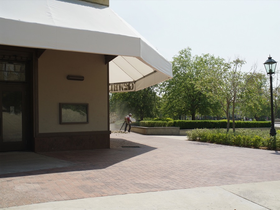 Grounds & Litter Management