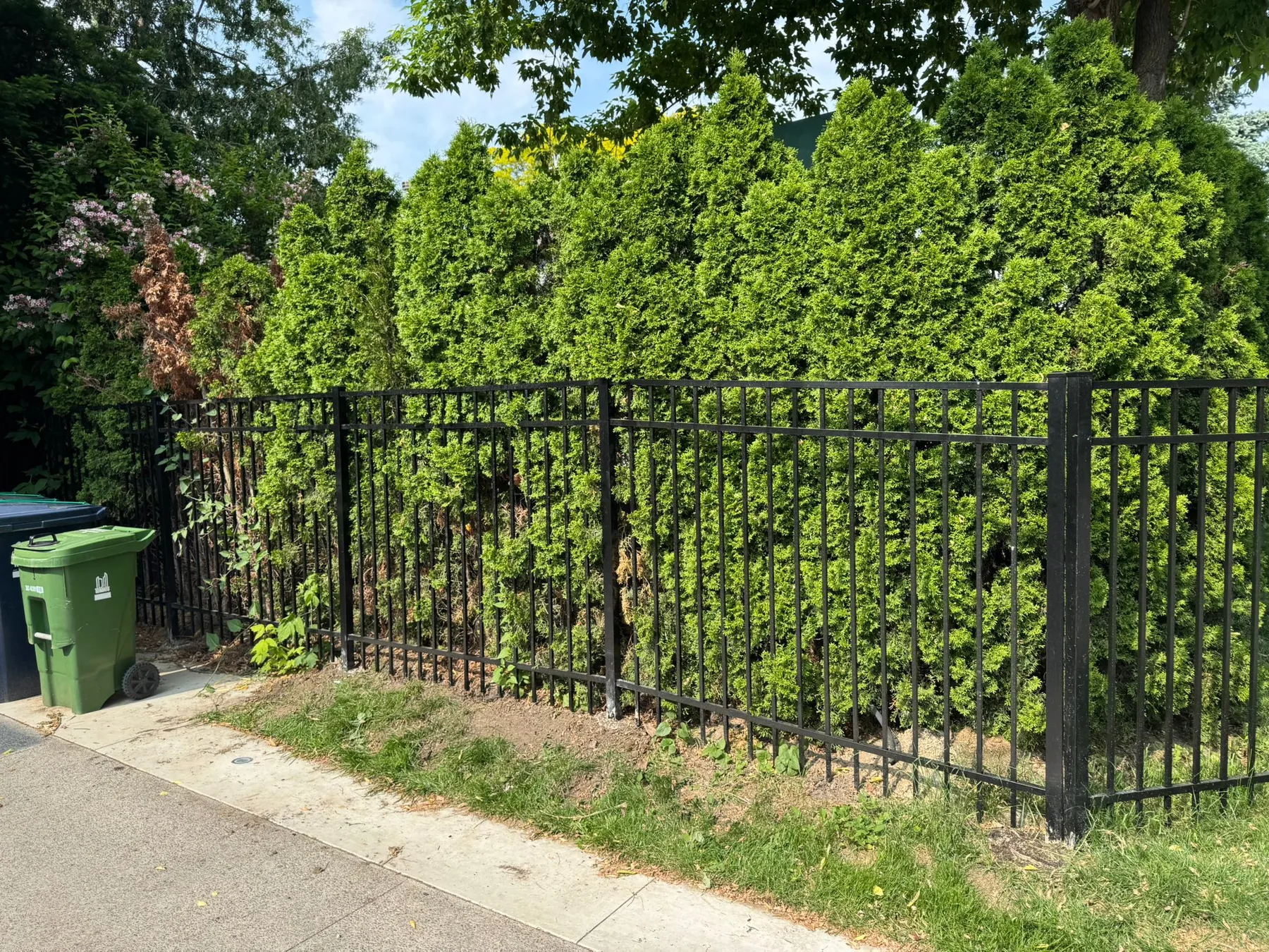 Aluminum Rail Fence in GTA