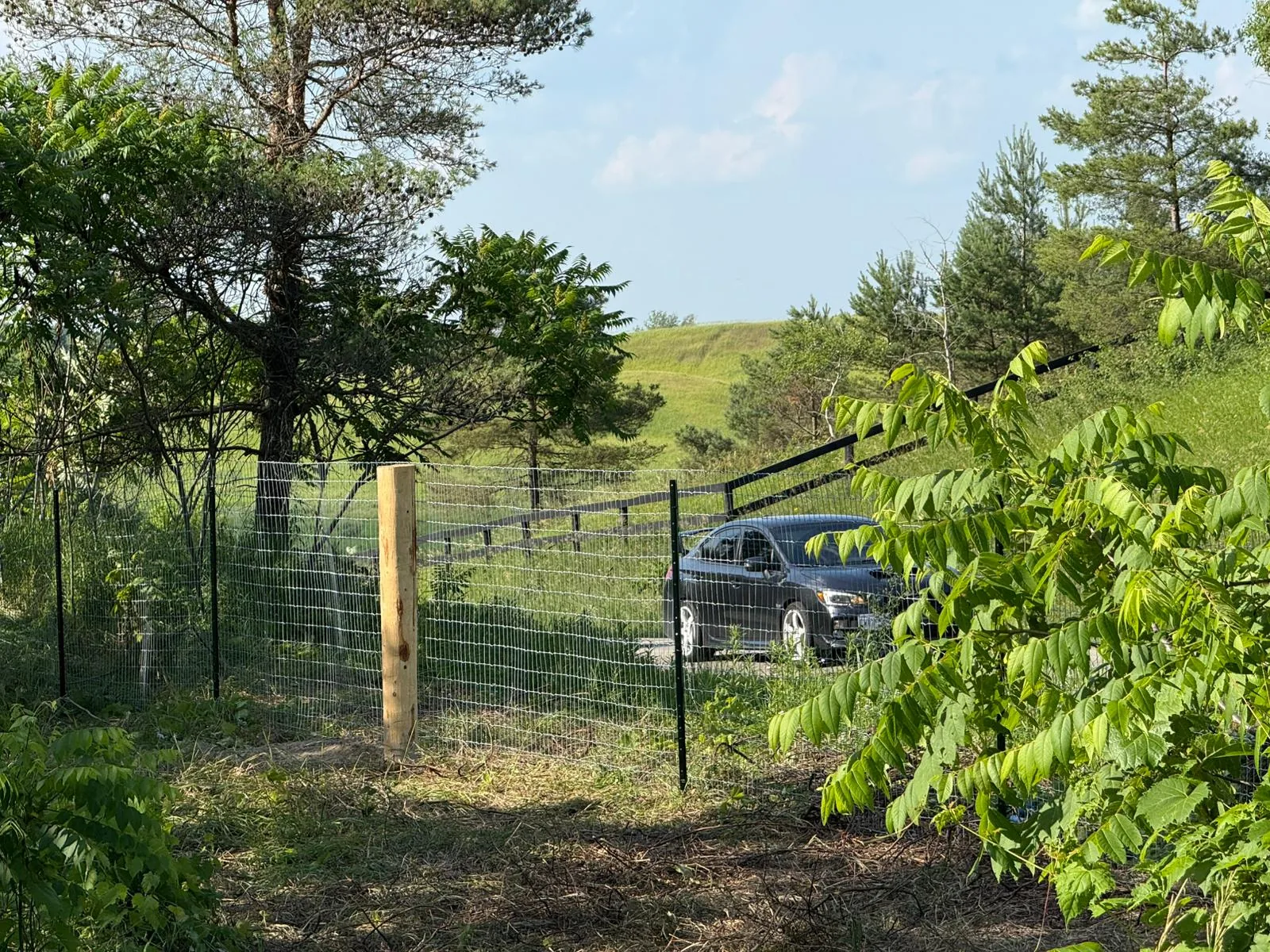 Wire Fence in GTA