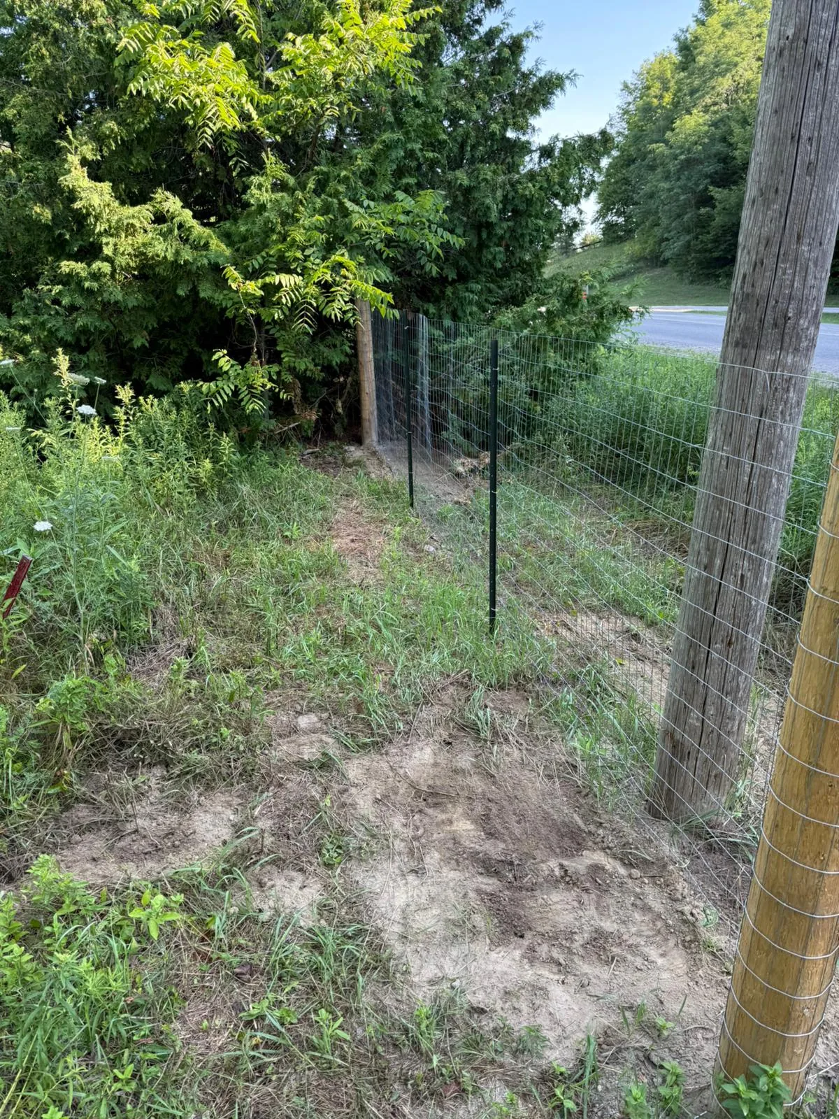 Wire Fence in GTA