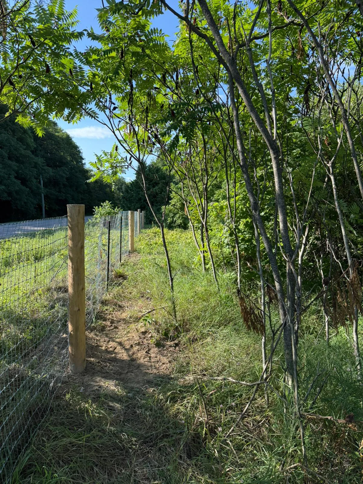 Wire Fence in GTA