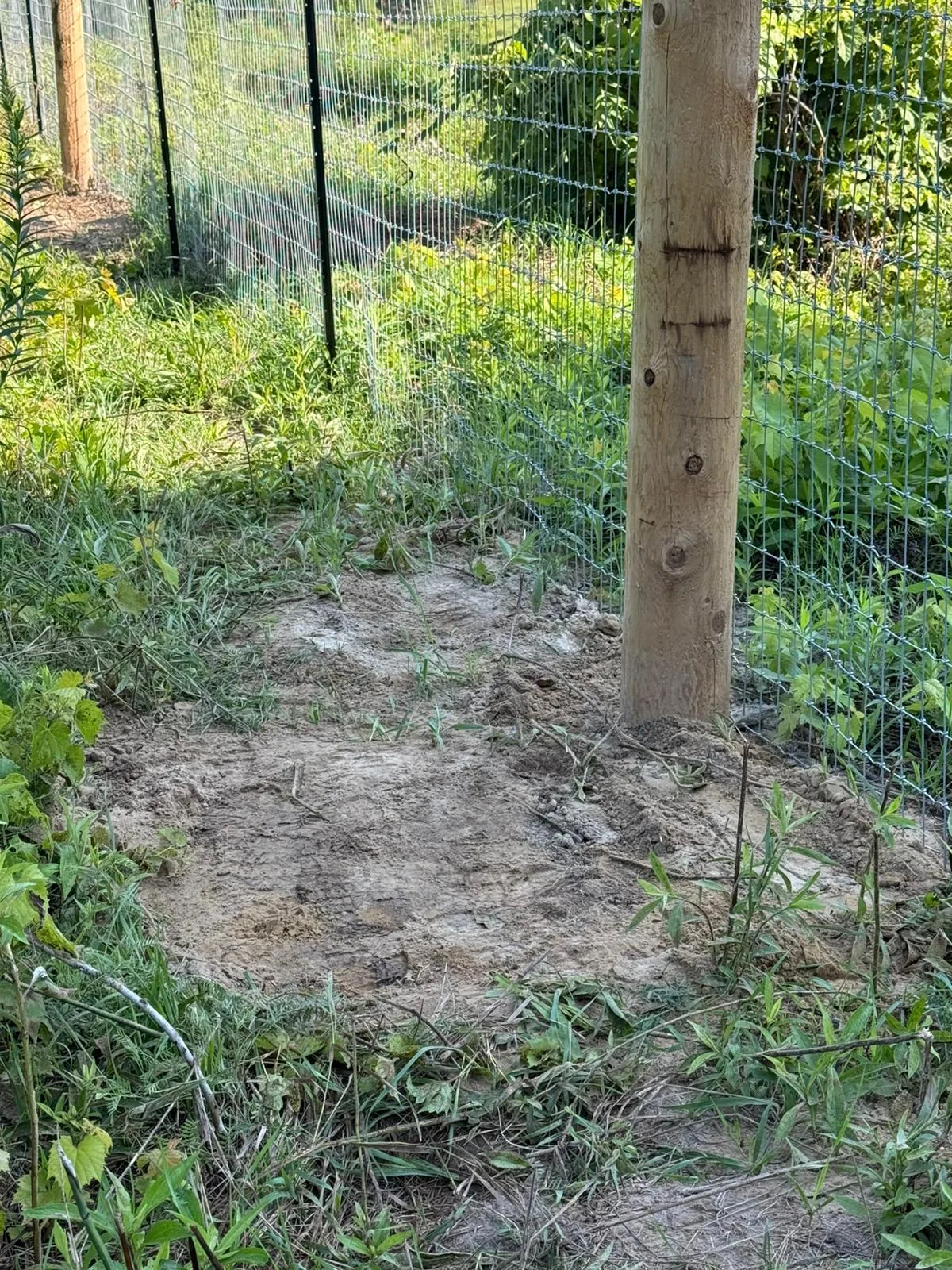 Wire Fence in GTA